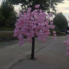 120cm Pink Wisteria Cherry