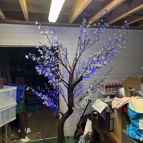 Cherry blossom tree - cherry,